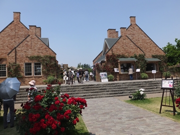 b20140604-1.JPG