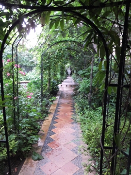 b20140604-15.JPG