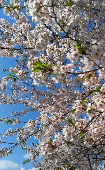 b20190507-1.jpg