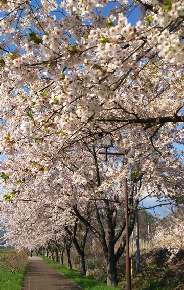 b20190507-2.jpg