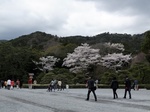 b20140403-10.JPG