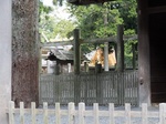b20140403-3.JPG