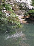 b20140403-9.JPG