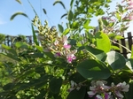 b20140905-1.JPG