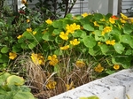 b20140915-15.JPG