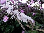 b20140915-2.JPG