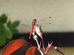 b20140915-8.JPG