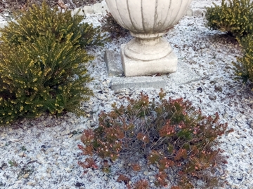 b20141221-1.JPG