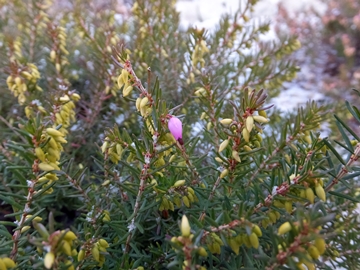 b20141221-2.JPG