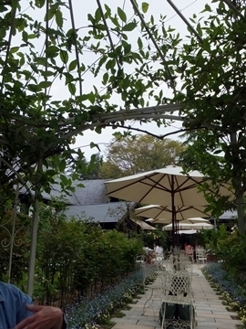 b20150524-15.JPG