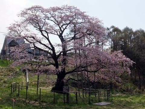 b20180507-1.JPG