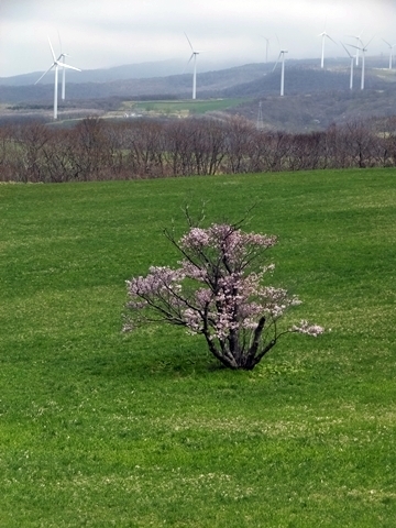b20180507-18.JPG