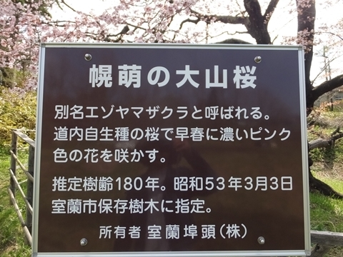 b20180507-2.JPG