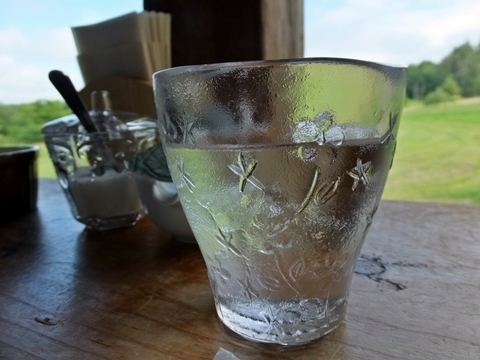 b20180813-31.JPG