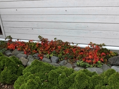 b20181015-10.JPG