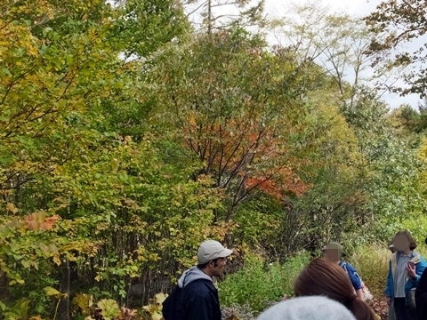 b20181015-3.JPG