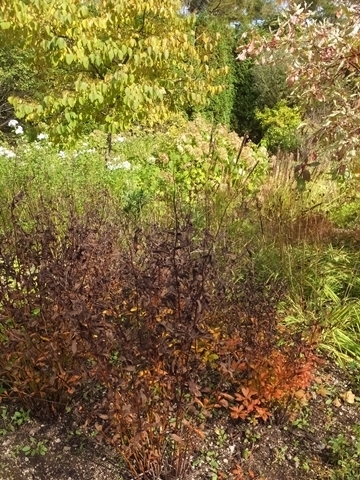 b20181015-6.JPG