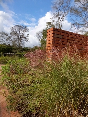 b20181015-7.JPG