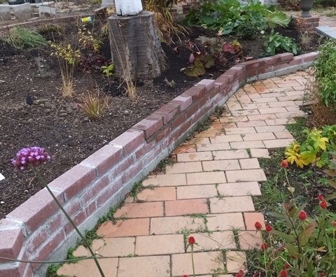 b20181112-6.JPG