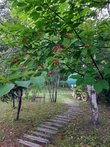 b20190830-11.JPG