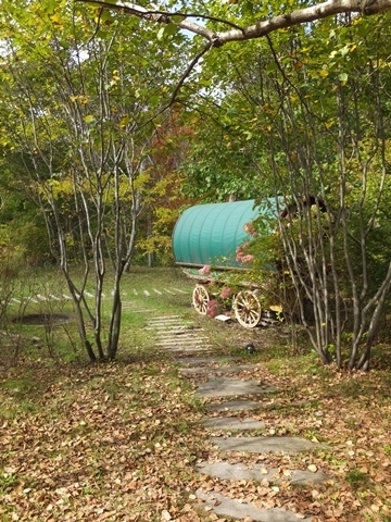 b20191011-15.JPG