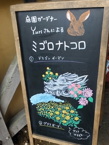 b20191011-3.JPG