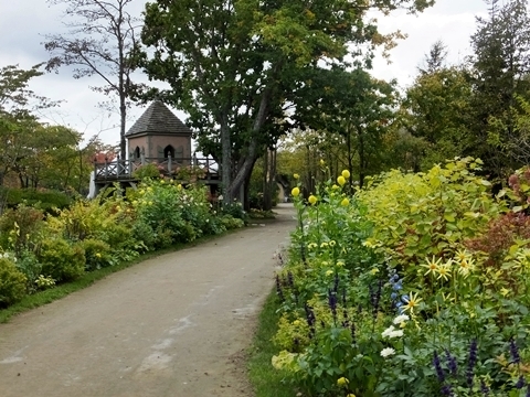 b20191011-30.JPG