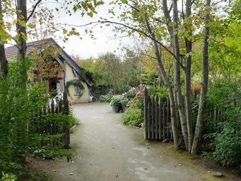b20191011-32.JPG