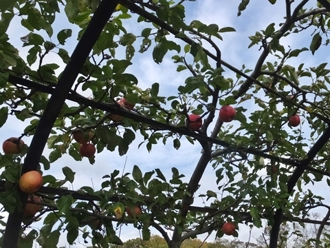 b20191011-9.JPG