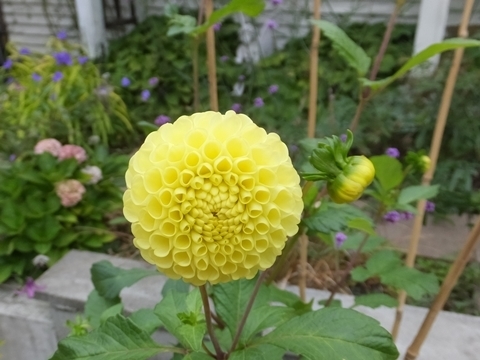 b20201004-1.JPG