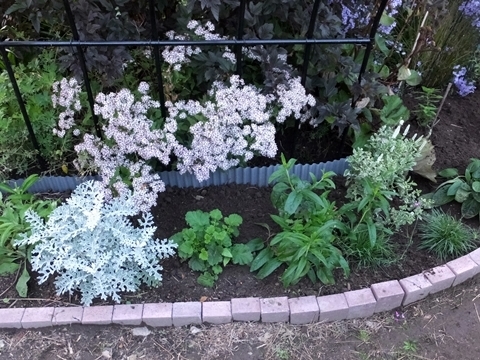 b20201004-7.JPG